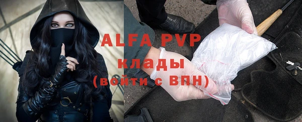 крисы Алзамай